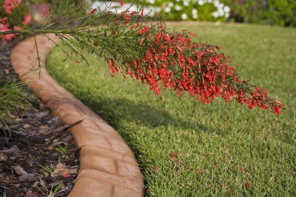 Brick Edging in Columbia