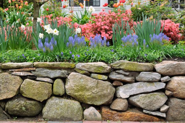 Stone Wall Hardscaping in Columbia