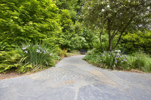Stone Hardscape Service in Columbia